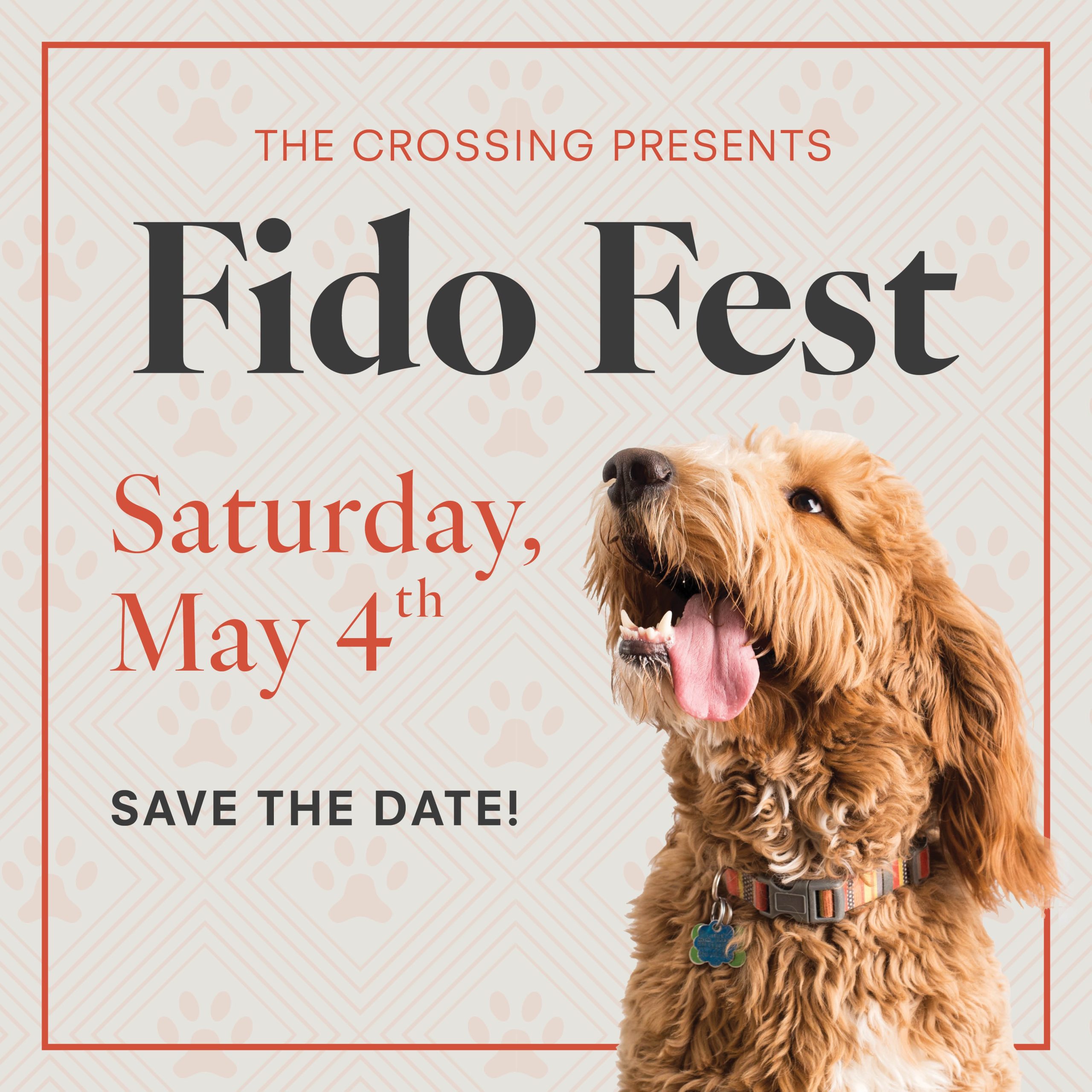 Fido Fest The Crossing Clarendon